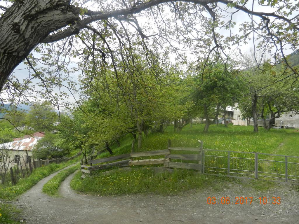 Guest House Katia Mestia Zewnętrze zdjęcie