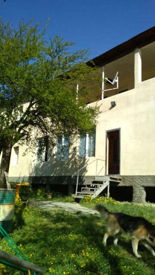 Guest House Katia Mestia Zewnętrze zdjęcie